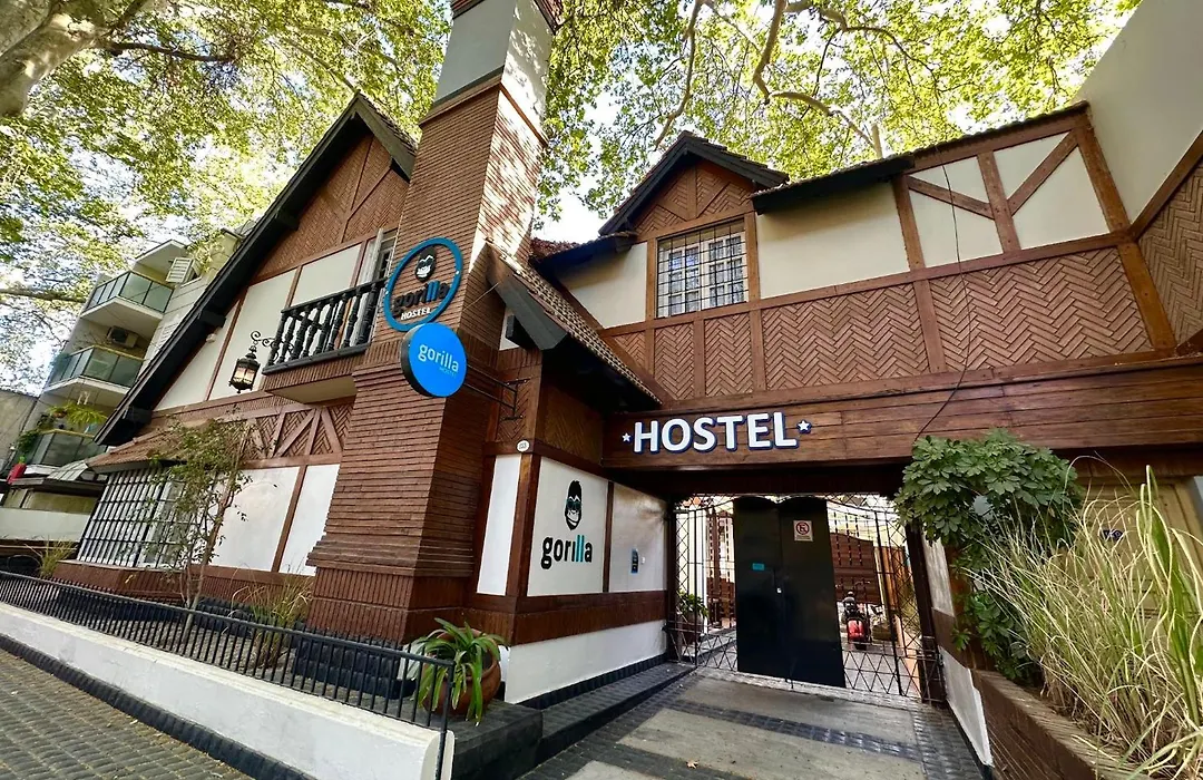 Gorilla Hostel-1