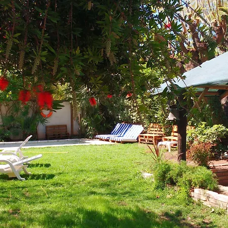 Gorilla Hostel-3